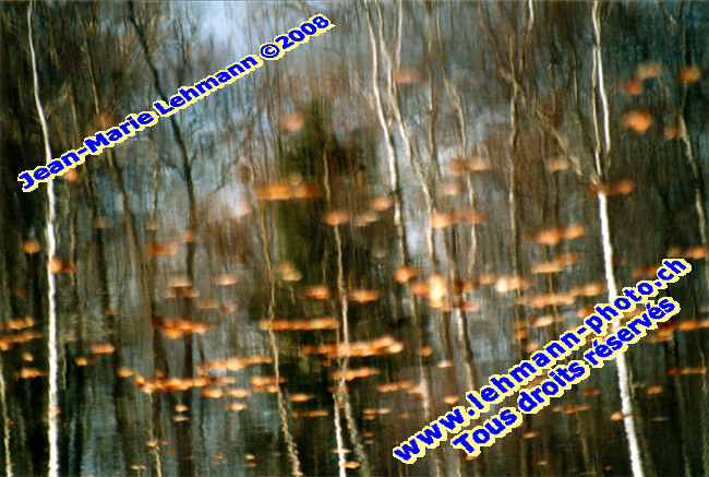 Retour (page pr�c�dente)