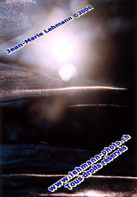 Retour (page pr�c�dente)