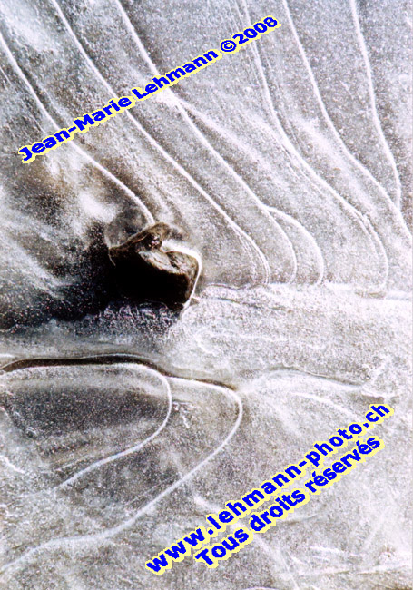 Retour (page pr�c�dente)