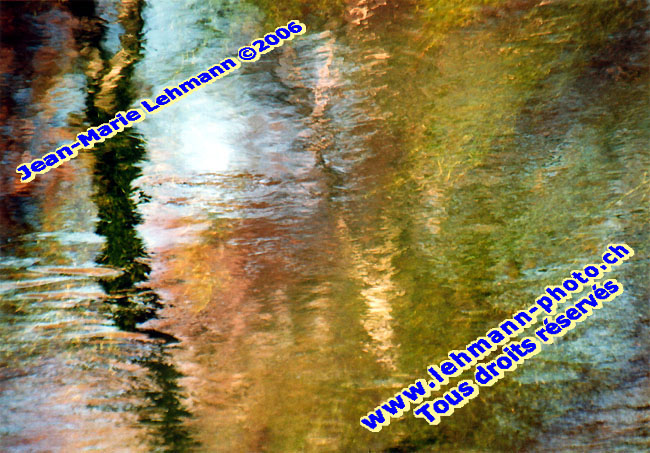 Retour (page pr�c�dente)