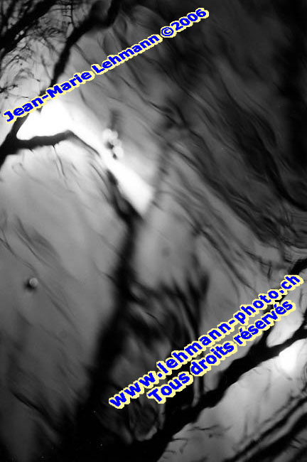 Retour (page pr�c�dente)