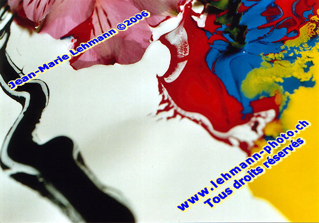 Retour (page pr�c�dente)