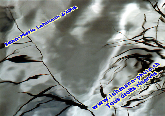 Retour (page pr�c�dente)