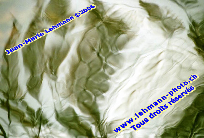 Retour (page pr�c�dente)