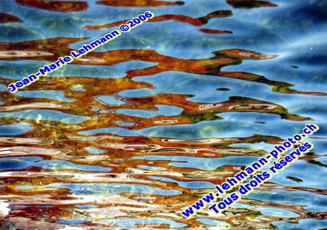 Retour (page pr�c�dente)